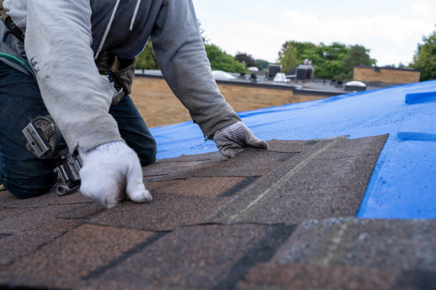 Quick and Trustworthy Emergency Roof Repair Services in Mentor, OH
